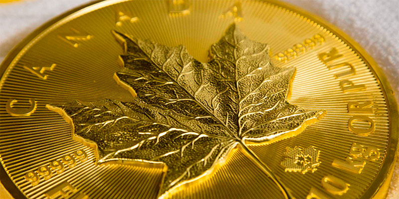 Золотой кленовый лист